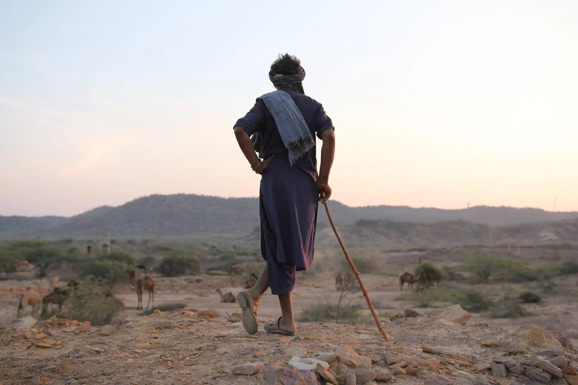Ahmed's family herding camels beneath an open sky